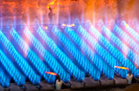 Berwick Bassett gas fired boilers